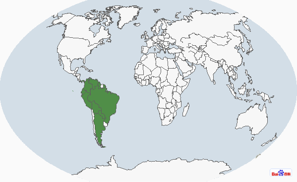 �ڶ�����