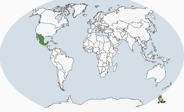 ϸ������