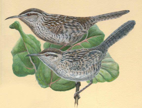 �ȿ���������