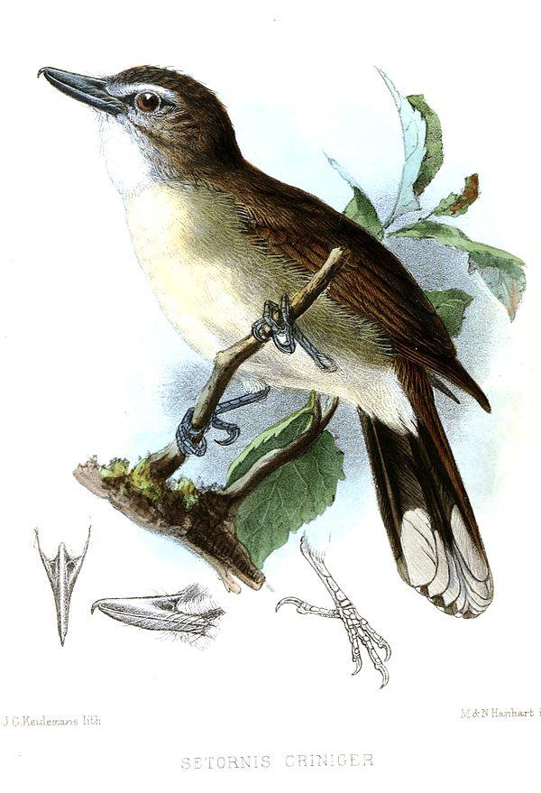 �����ǵ�ͼƬ