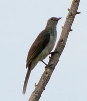 �����ǵ�ͼƬ