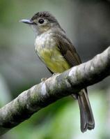 ˿���ǵ�ͼƬ