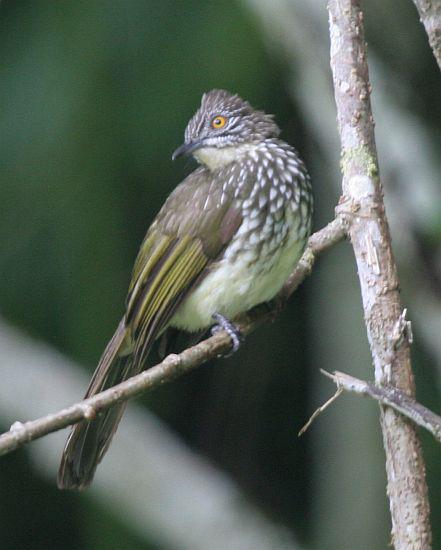 �����ǵ�ͼƬ