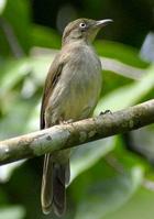 ���ۺ���