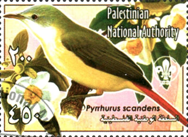 ��ľ�ǵ�ͼƬ