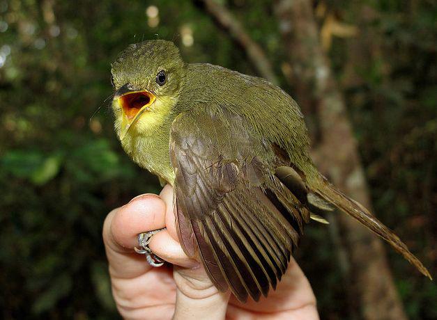 С��ľ�ǵ�ͼƬ