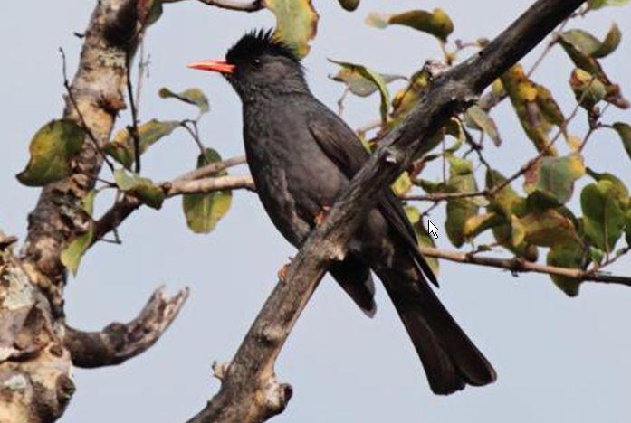 ��β���ǵ�ͼƬ