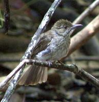 �����ǵ�ͼƬ