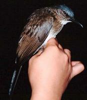 �����ǵ�ͼƬ