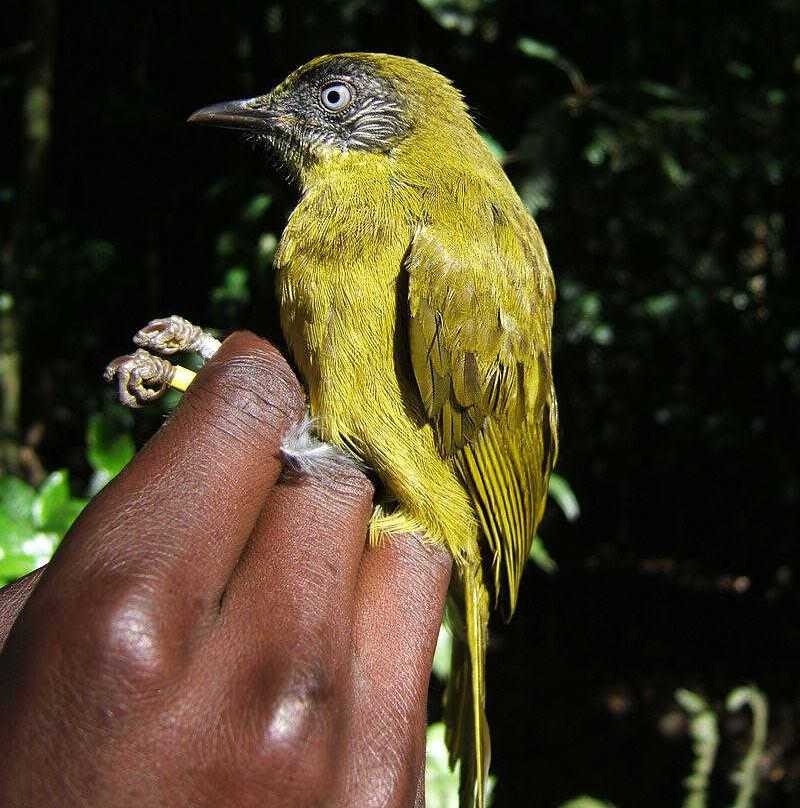 �Ƽ����ǵ�ͼƬ