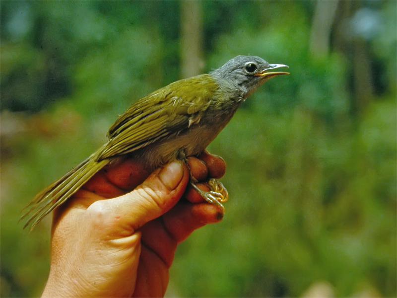 �����ǵ�ͼƬ