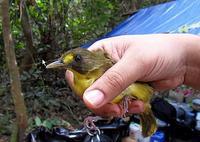 С���ǵ�ͼƬ