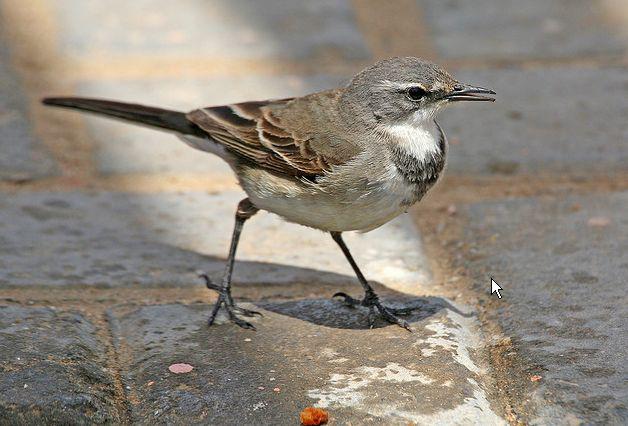 �����n�_