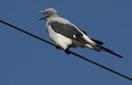 ϸ��ؾ��V��ͼƬ