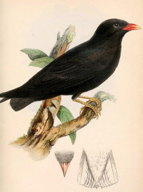 ���޺����ͼƬ