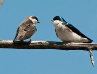 ���޺���