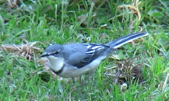 ����ɽ�n�_