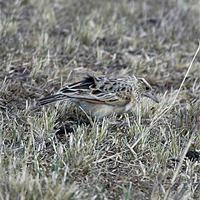 ��β������ͼƬ