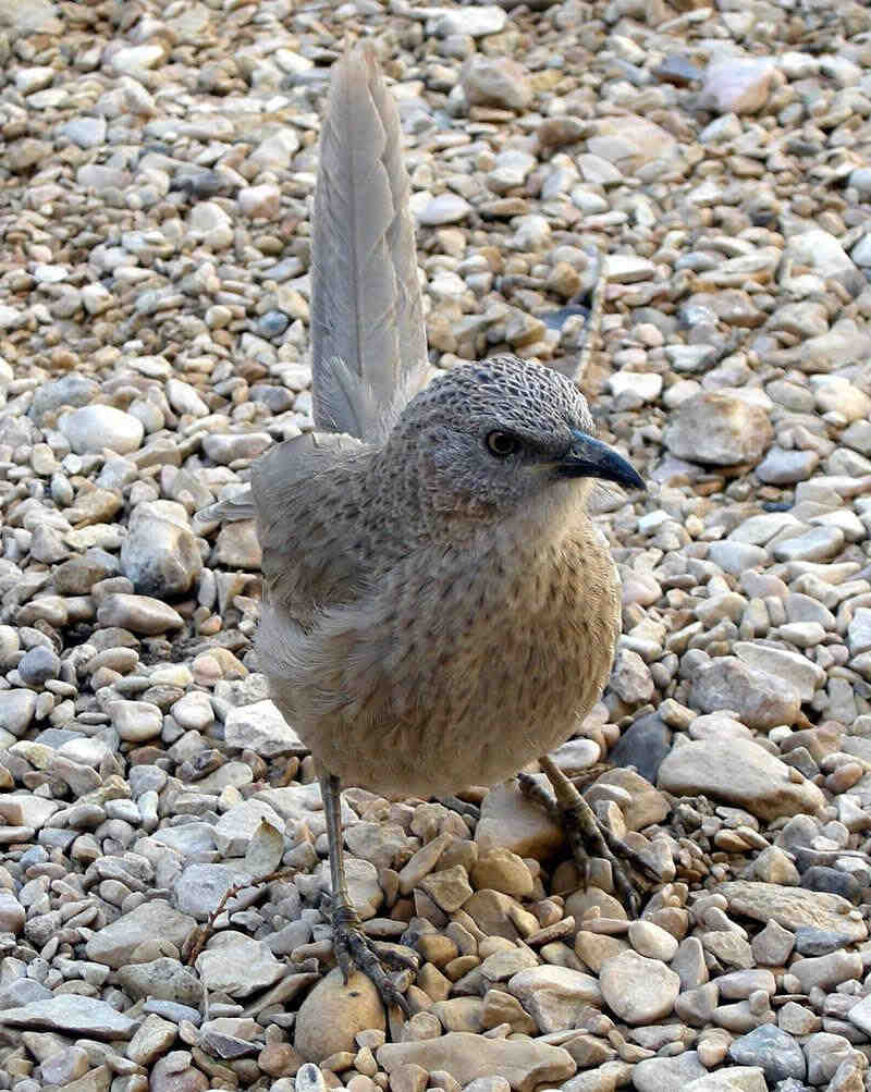 ��������̵�ͼƬ