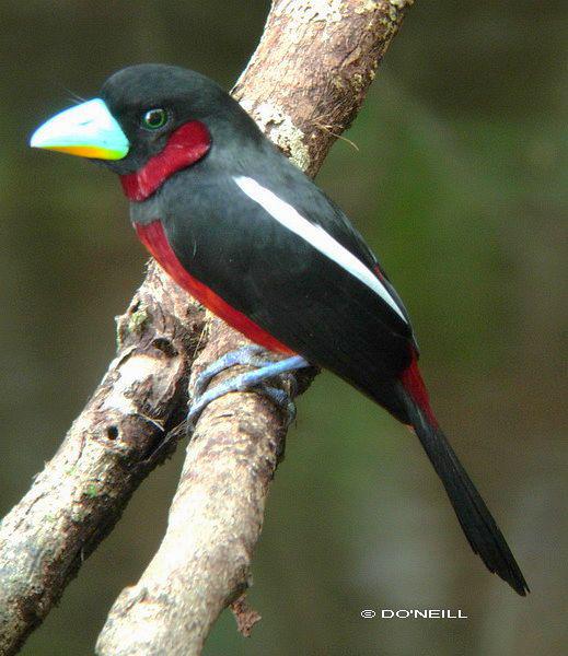 �ں��������ͼƬ