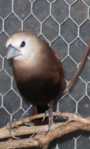 ��ͷ�����ͼƬ