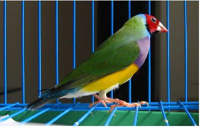 ��������ͼƬ