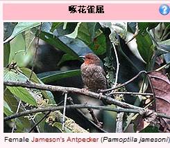 �Ļ�ȸ��ͼƬ