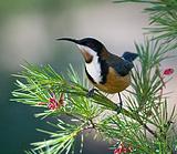 ������������