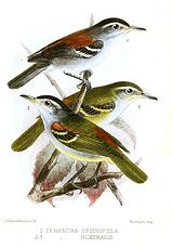 �ƶ�������