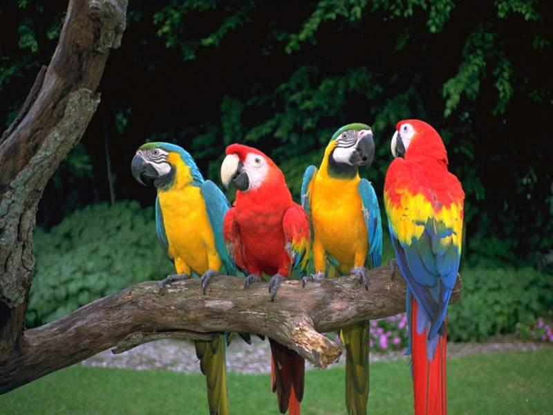 ����Ŀ��ͼƬ