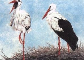 ����Ŀ��ͼƬ