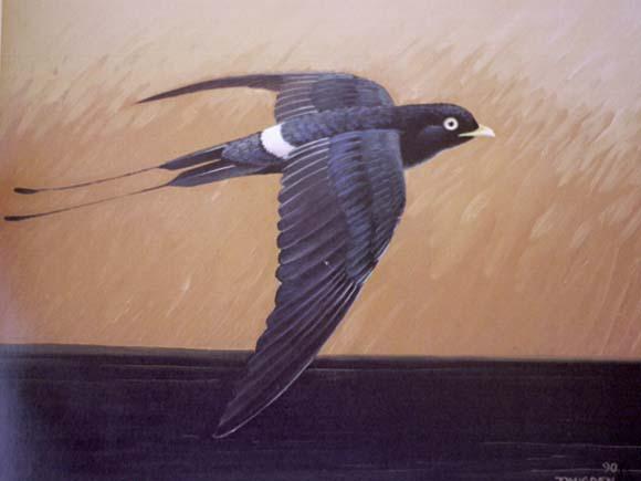 ���ۺ���