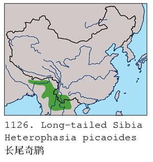 ��β����