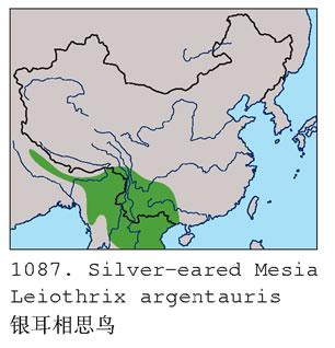 ������˼��