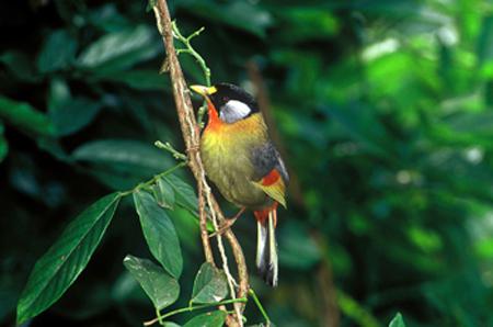 ������˼��