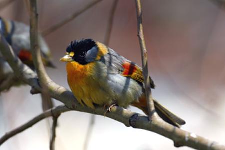 ������˼��