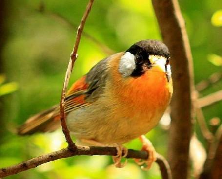 ������˼��