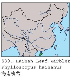 ������ݺ