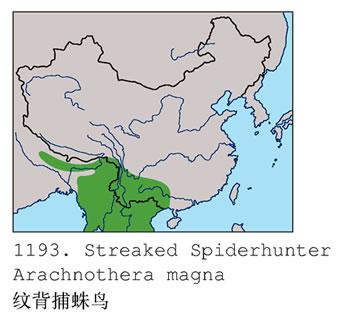 �Ʊ�������