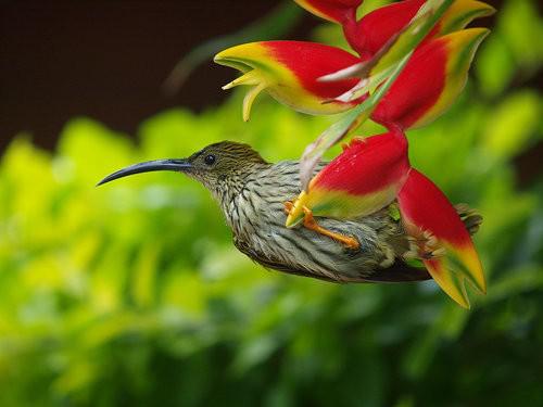 �Ʊ�������