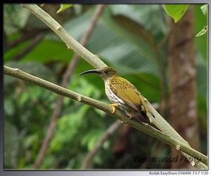 �Ʊ�������