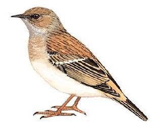 ����ɽ���ҵ�ͼƬ