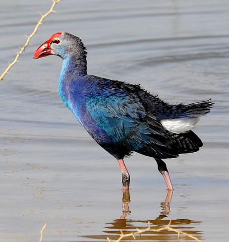 ��ˮ����ͼƬ