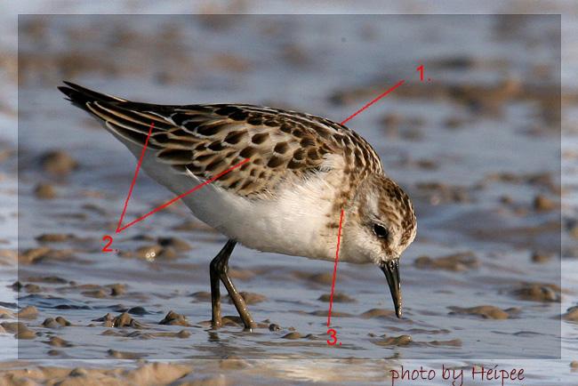 С��������