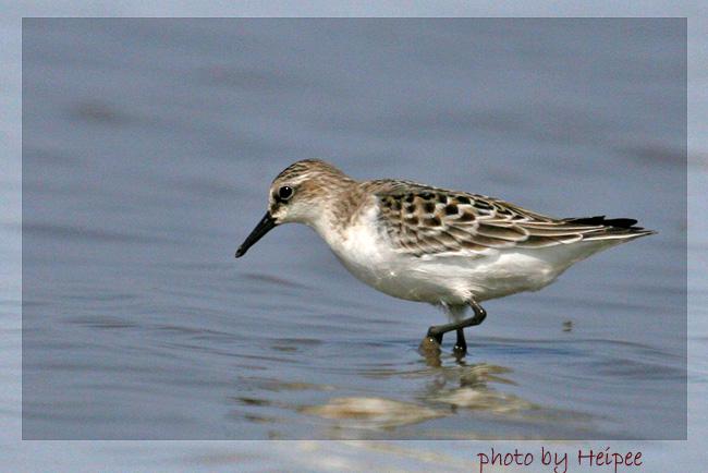 С��������