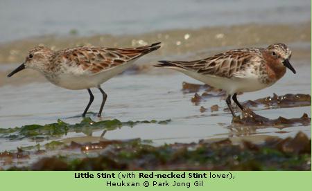 �쾱���֣��ң���С������һ��