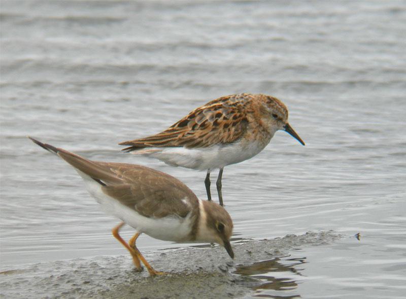 �쾱���ֺ�С������һ��