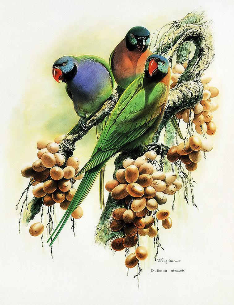 �������