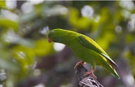 ��β����