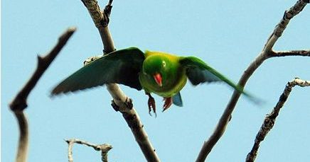 ��β����